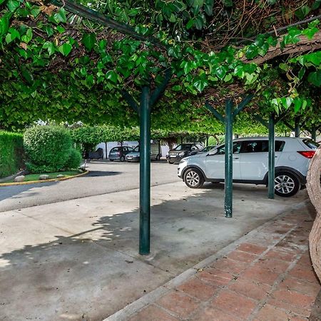 Mini Motel At Los Naranjosgc マルベーリャ エクステリア 写真